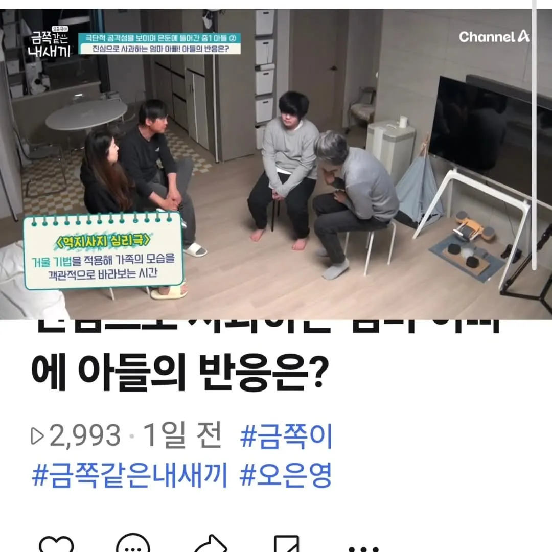 채널A 요즘 육아 금쪽같은 내새끼 223회 심리극 방송 화면